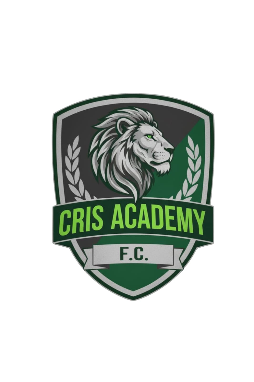 Escudo de cris academy